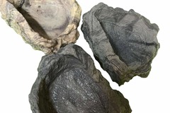 Bulk Lots: Reptile/Hermit Crab/Tarantula Stone Look Dishes Asst.Colors 48pc