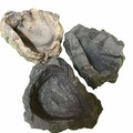 Bulk Lots: Reptile/Hermit Crab/Tarantula Stone Look Dishes Asst.Colors 48pc
