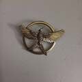 Selling with online payment: Hunger Games MockingJay Pin