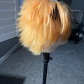 Selling with online payment: Denki Kaminari [UNSTYLED] wig ; mha wig