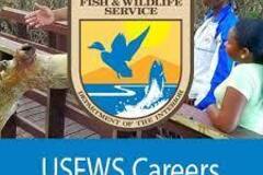 Looking for volunteers: Leadville National Fish Hatchery Summer Volunteer