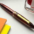 Renting out: Tibaldi Bononia Zany Brown (M)