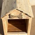 Selling: Reclaimed Pallet Dog house