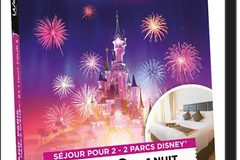 Vente: Wonderbox "Disneyland - Séjour pour 2 - 2 parcs Disney" (589,90€)