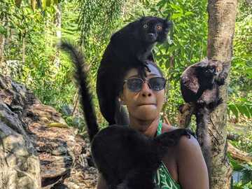 Beach & Water Excursions: Nosy komba/Tanikely 