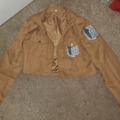 Selling with online payment: Attack on Titan Cosplay