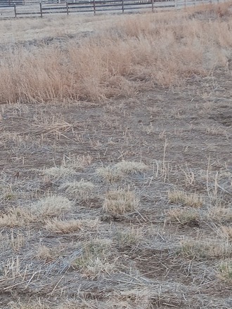 Berthoud CO, Star View Storage 20'x40'
