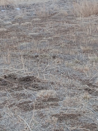 Berthoud CO, Star View Storage 20'x40'