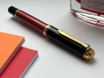 Renting out: Pelikan M600 (M)