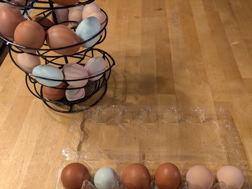 Selling with In-person Payment: Fresh chicken eggs! Organically fed (Woodstock, GA)
