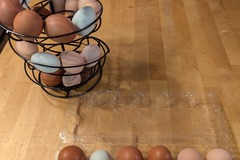 Selling with In-person Payment: Fresh chicken eggs! Organically fed (Woodstock, GA)