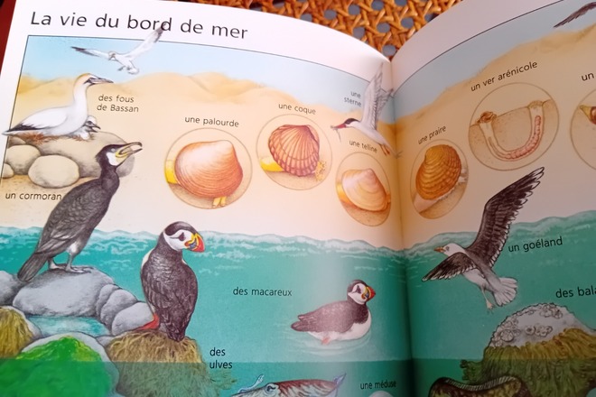 Encyclopédie MEGA BENJAMIN - Nathan