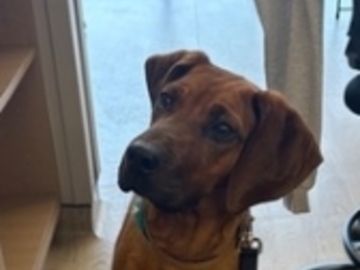   : Hank