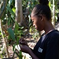 Culinary Experiences: Make a Local Snack: Banana with Coconut Milk & Vanilla | Nosy Be