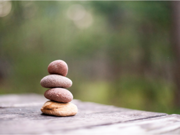 Wellness Session Packages: Healthy Habit Formation 3-week Coaching to Create Sustainability
