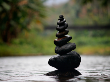 Wellness Session Packages: Healthy Habit Formation 5-Week Coaching to Create Sustainability