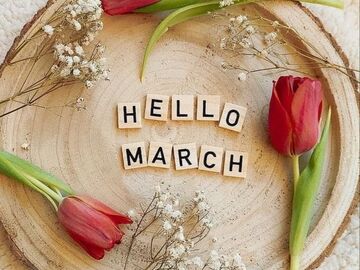 Selling: will things be better in March? Any new opportunity in march?