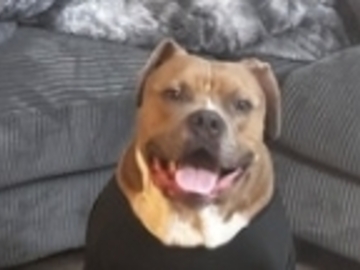   : Mbili