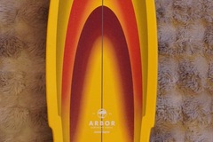 Selling with online payment: Arbor Surfskate Series by Jordan Brazie