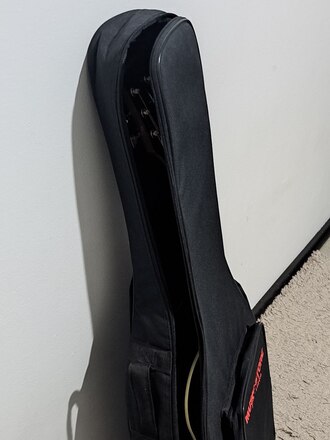 Acoustic Guitar