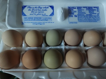 Selling with In-person Payment: Farm Fresh Eggs- Camden, TN