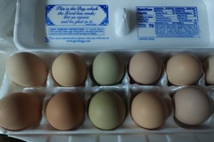 Selling with In-person Payment: Farm Fresh Eggs (Camden, TN)
