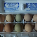 Selling with In-person Payment: Farm Fresh Eggs (Camden, TN)
