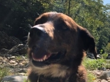   : Lulu