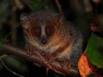 Nature & Wildlife: 4-Day Nature Tour to the East
