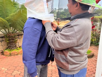 Arts & Crafts: Discover the Art of Beekeeping: From Hive to Honey