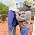 Arts & Crafts: Discover the Art of Beekeeping: From Hive to Honey