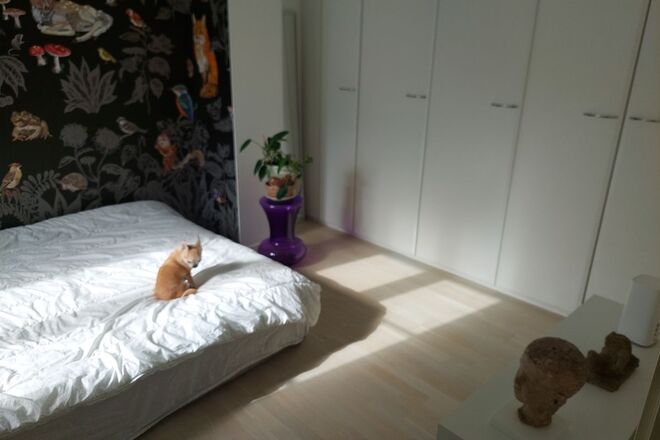 City Home Available from 1st of July in Alppiharju!