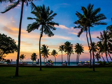Multi-day Packages: 21 Days of Adventure & Luxury | Madagascar