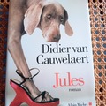 Selling: Jules - Didier van Cauwelaert - Albin Michel