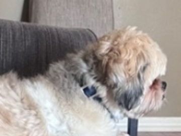   : Oliver 