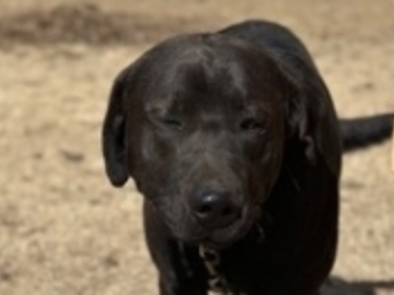   : Buster-Rymes