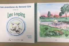 Offering: Les aventures du Renard Gris Tome VI est sorti