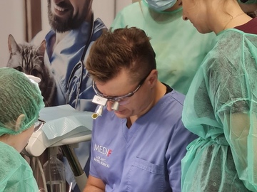 Kurs: Stomatologia psów i kotów: diagnostyka i leczenie chorób przyzębi