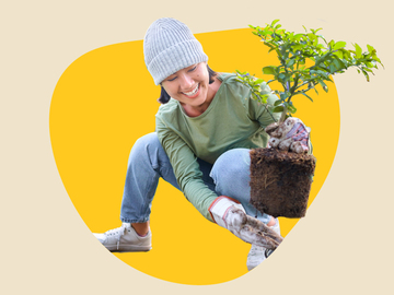 Service à domicile: ENTRETIEN DE LA MAISON - Jardinage