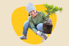 Service à domicile: ENTRETIEN DE LA MAISON - Jardinage