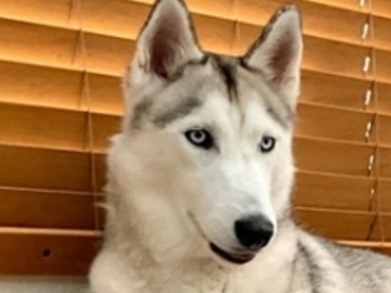   : Rosie