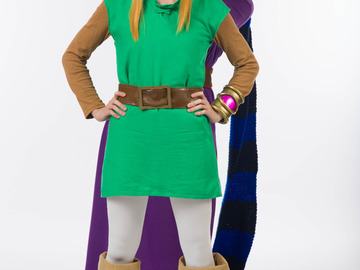 Selling with online payment: Link - Link Between Worlds/Oracle of Seasons (classic Zelda)