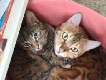  : Cleo and Macy