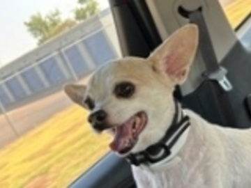   : Sammie