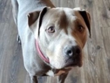   : Odin