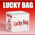 Bulk Lots: 300pcs Surprise Mystery Box -Original Retail $2999