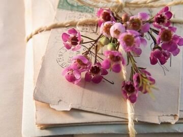 Selling: Channelled APOLOGY LETTER: From the one you need to hear from! 