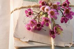 Selling: Channelled APOLOGY LETTER: From the one you need to hear from! 