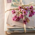 Selling: Channelled APOLOGY LETTER: From the one you need to hear from! 