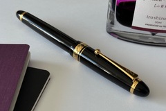 Renting out: Pilot Custom 743 (FA)